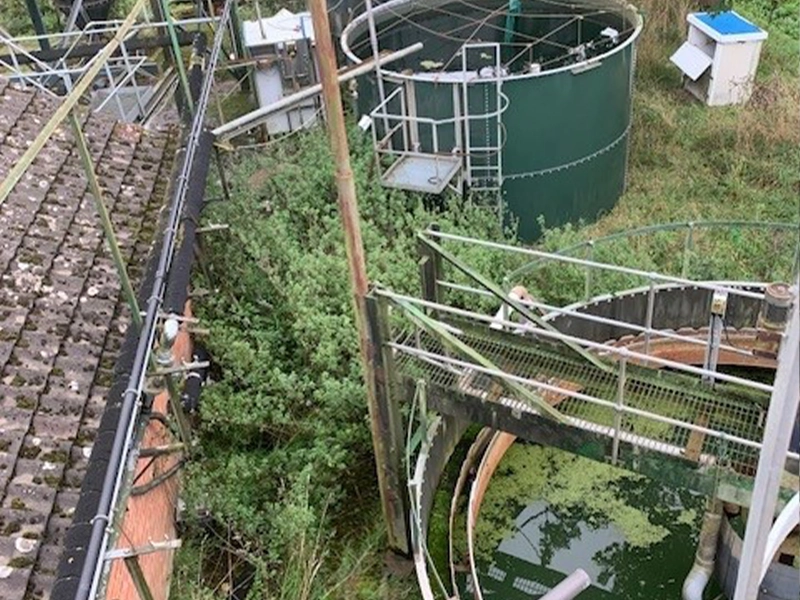 Water Treatment Tanks from Vegetable Washing Plant