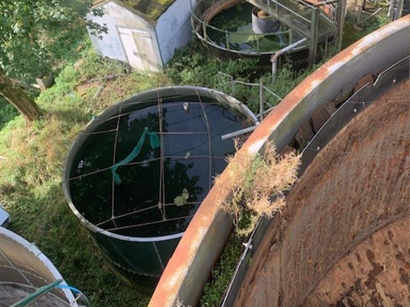 Water Treatment Tanks from Vegetable Washing Plant