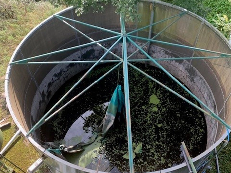 Water Treatment Tanks from Vegetable Washing Plant