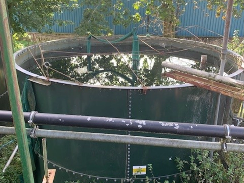 Water Treatment Tanks from Vegetable Washing Plant