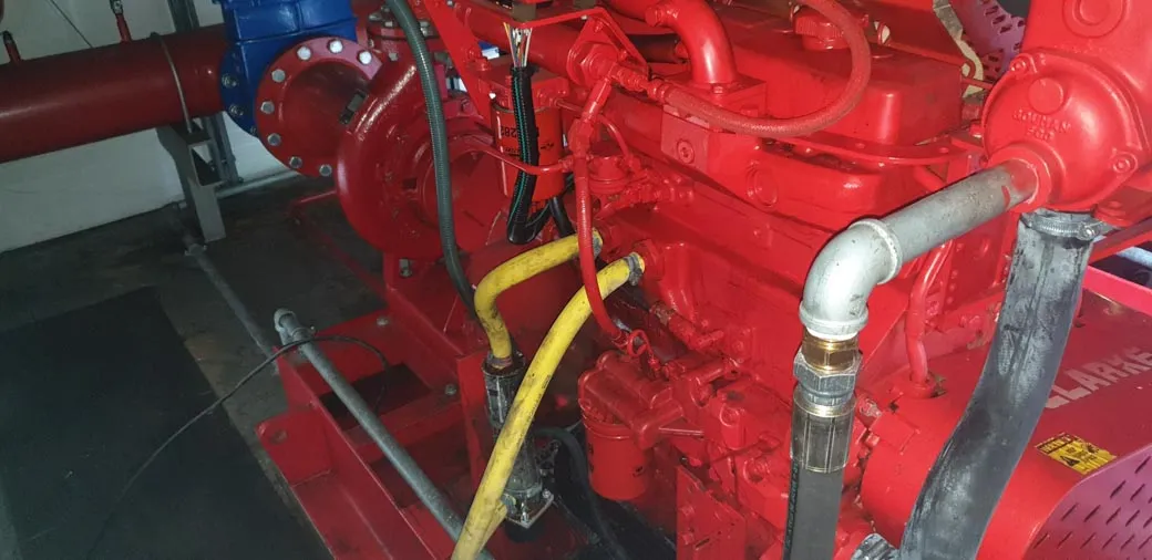 Armstrong Twin 6x4x10 Fire Pump House