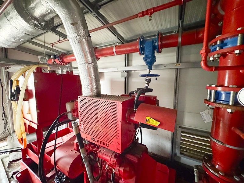 Armstrong Twin 6x4x10 Fire Pump House